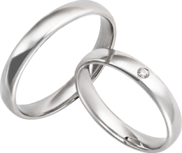 2026-PALIDO Eheringe_platin